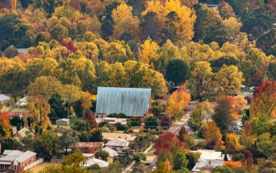 Autumn Fire Dangers: What Every NSW Property Owner Needs to Know
